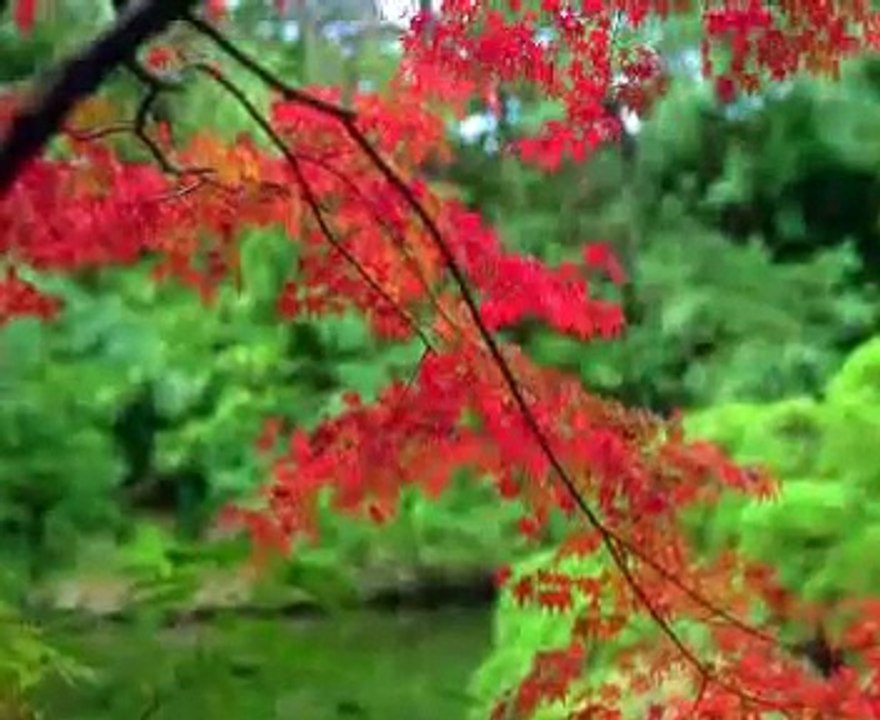 Can Yücel Seninle Olmanın En Güzel Yanı Ne Biliyor musun?