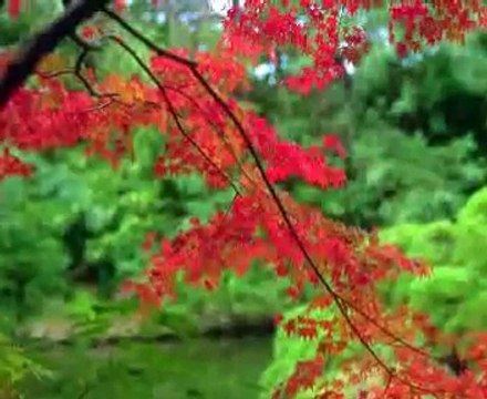 Can Yücel Seninle Olmanın En Güzel Yanı Ne Biliyor musun?