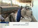 تحذير من انهيار قطاع صناعة الجلود بالسودان
