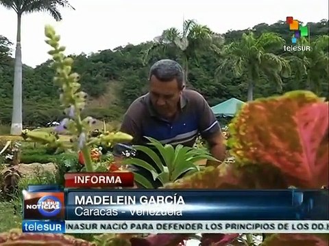 Venezuela:familiares de víctimas de guarimbas denuncian manipulaciones