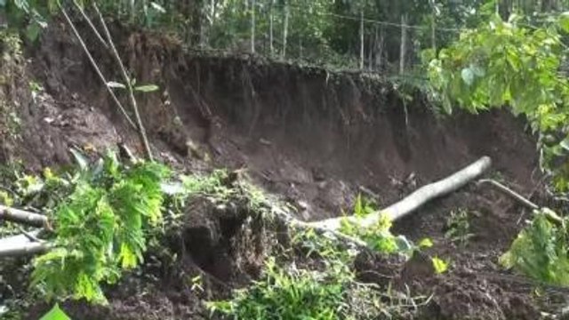 Endonezya'da Muson Yağmurları Heyelana Neden Oldu