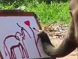 OMG    This Elephant Has Talented