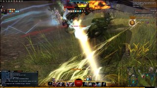 Guild Wars 2 Carbonnieux and Empress Babydoll WvW
