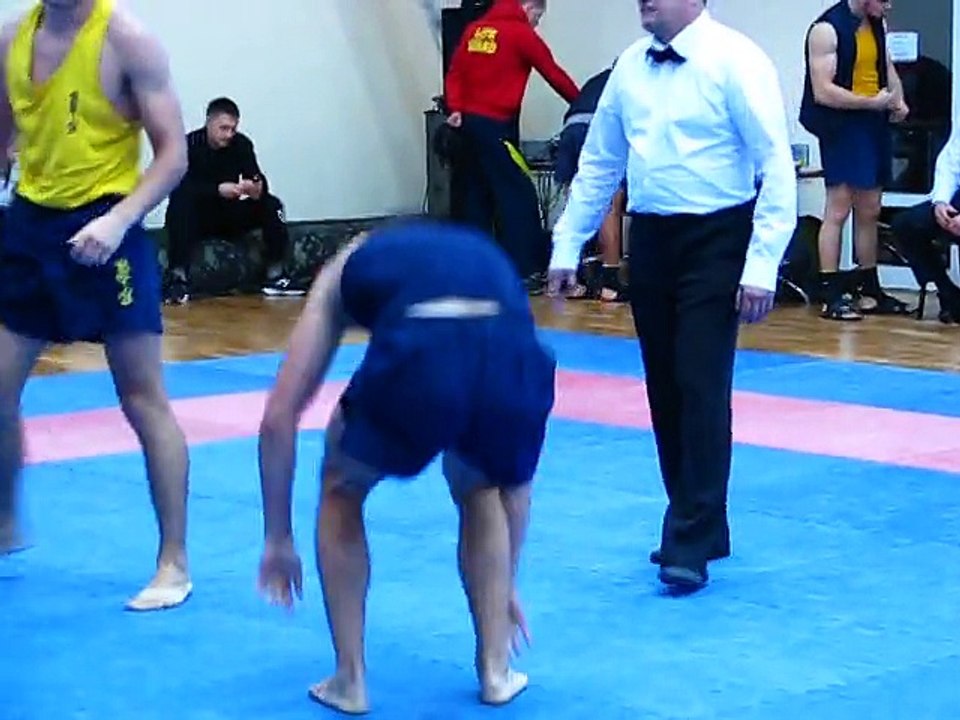 HORTING INTERNATIONAL SPORT. European Horting Championship – 2014, Ukraine. Lviv, 25-26 oktober. First European Horting Championship in Ukraine, 25-26 oktober 2014. HORTING Mixed Martial Art. Fight Championship. Ukraine. Lviv. WORLD HORTING FEDERATION