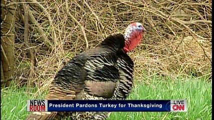 David.Letterman.2014.11.26.Jake.Gyllenhaal.HDTV.x264-BATV