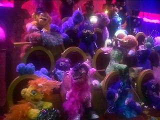 les mouettes novembre 2014