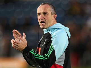 Live Harlequins vs Leinster On Web