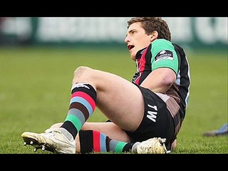Harlequins vs Leinster