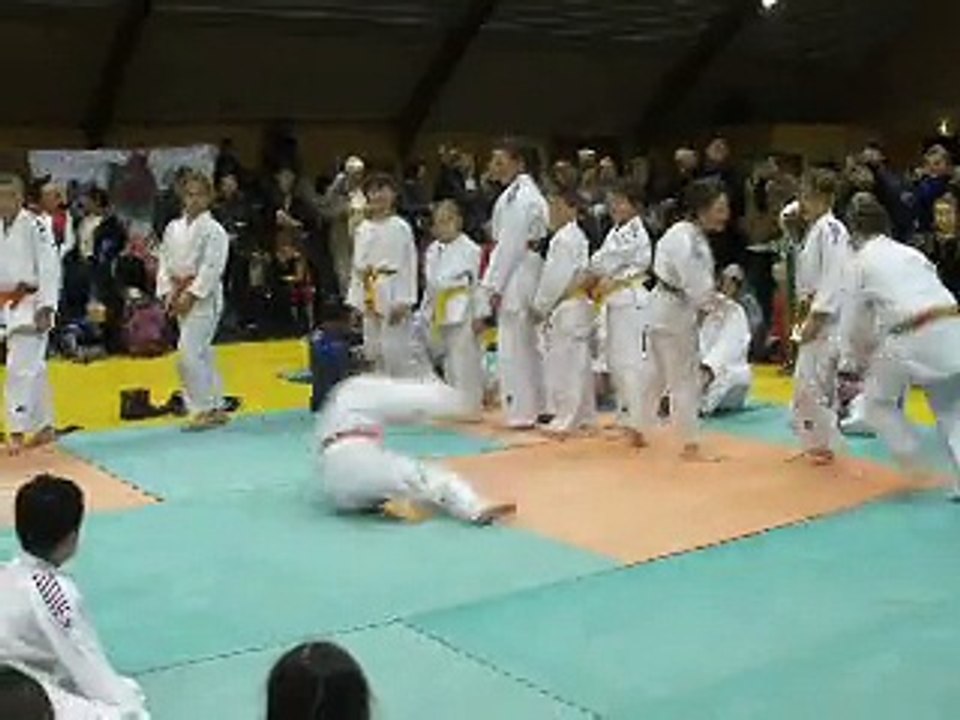 Télèthon 2014