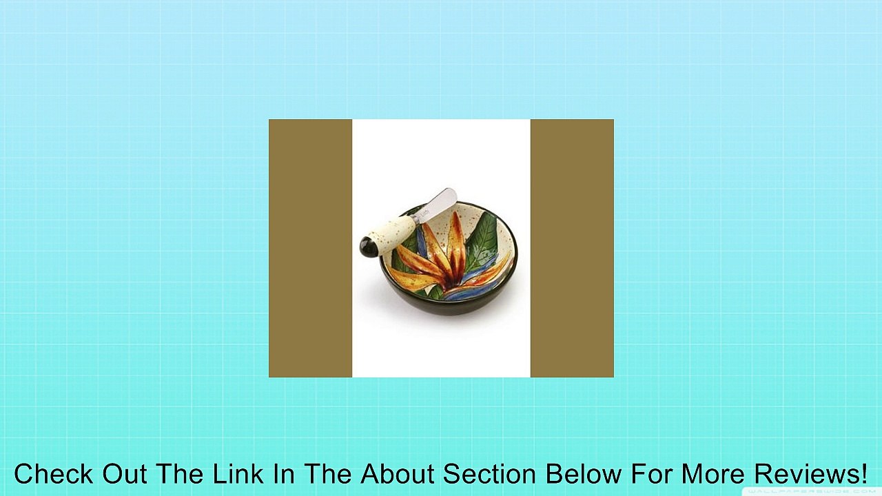 Island Plantations Bird of Paradise Vibrant Dip Bowl and Spreader Review
