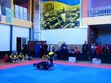 Чемпионат Европы по хортингу. European Horting Championship – 2014.