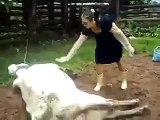 Cow kick Lady Amazingly