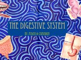 the digestive system science projects | high school science project work | ideas for science fair pr