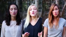 White Winter Hymnal - Fleet Foxes Cover Gardiner Sisters.