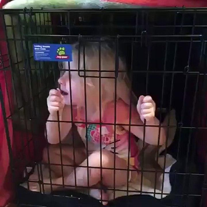 Crate training