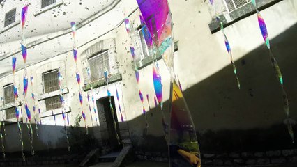 La disparition des Lucioles, cour des isolés