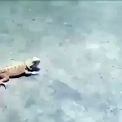 When your ex tries to come back