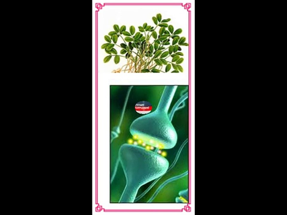 do you know luteolin supplements4