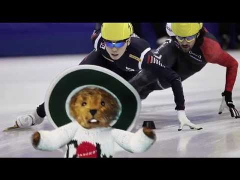 The Furred Umpire tries out speed skating