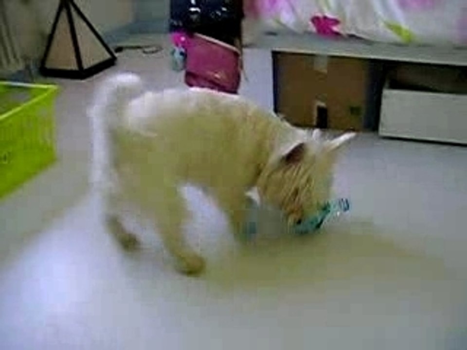 Buzz et la bouteille