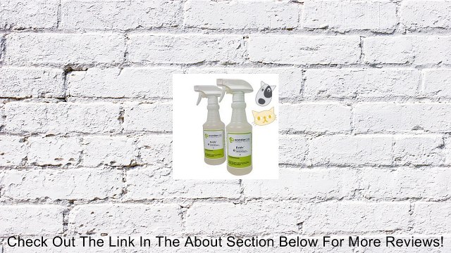 Natural & Organic Flea, Tick & Mosquito Control Spray for Dogs & Cats | 2-PACK 16oz Evolv Cedar with Lemongrass Scent | Kills Full Lifecycle of 100s Pests - Just Spray & Play | No Chemical Pesticides, Made from Non-Toxic, Human Food-Grade Ingredients | Sp