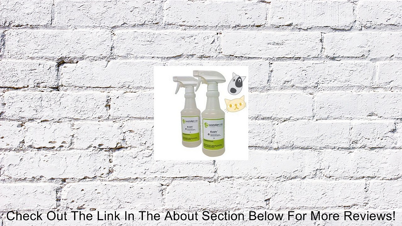 Natural & Organic Flea, Tick & Mosquito Control Spray for Dogs & Cats | 2-PACK 16oz Evolv Cedar with Lemongrass Scent | Kills Full Lifecycle of 100s Pests - Just Spray & Play | No Chemical Pesticides, Made from Non-Toxic, Human Food-Grade Ingredients | Sp