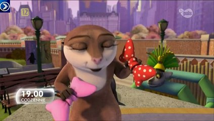 TV Puls- oprawa bożonarodzeniowa 2014