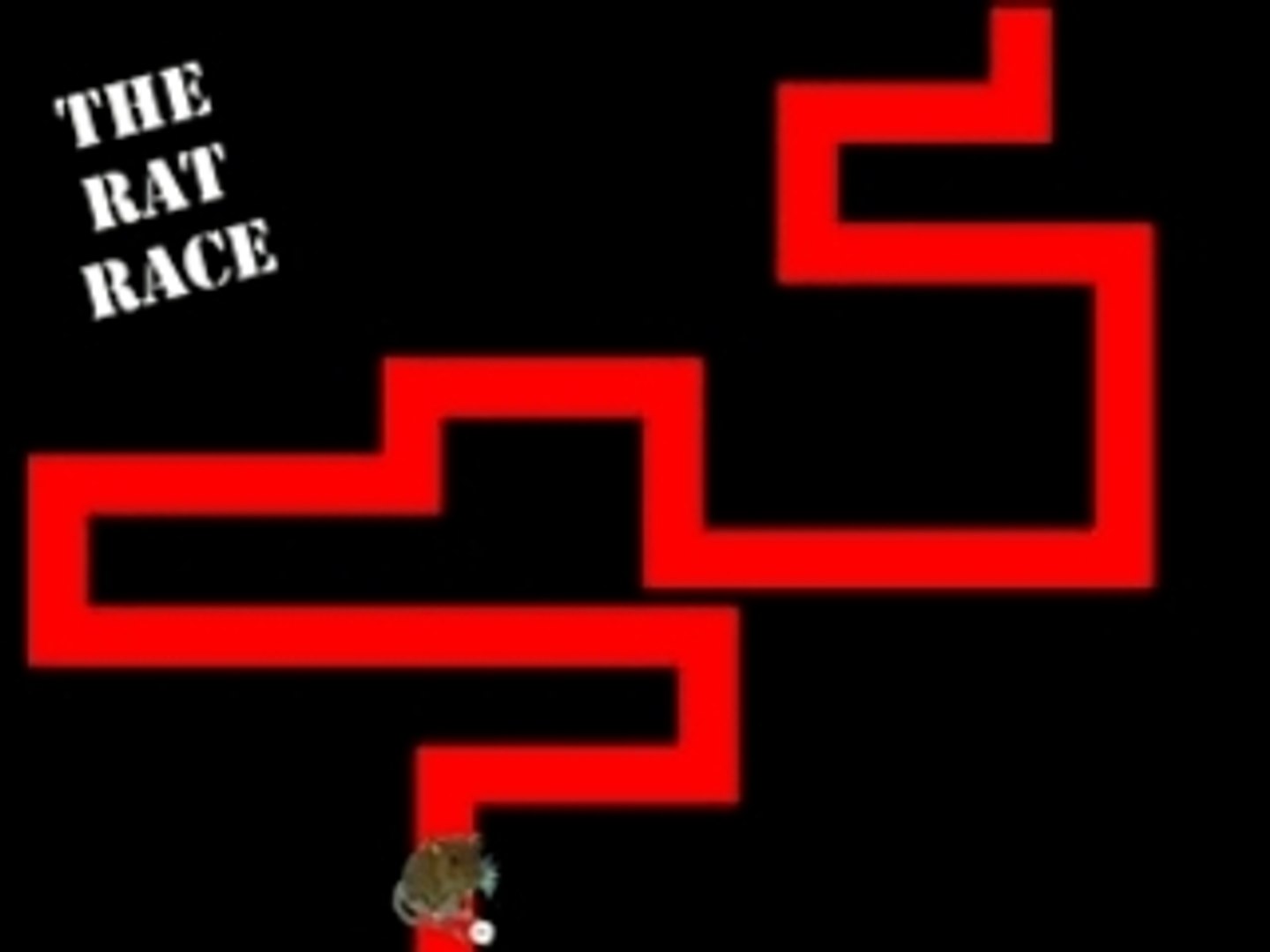 Rat race