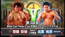 Akitoshi Saito vs. Mitsuhiro Kitamiya