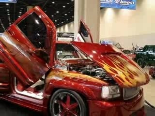 Vote quelle est la plus belle ?