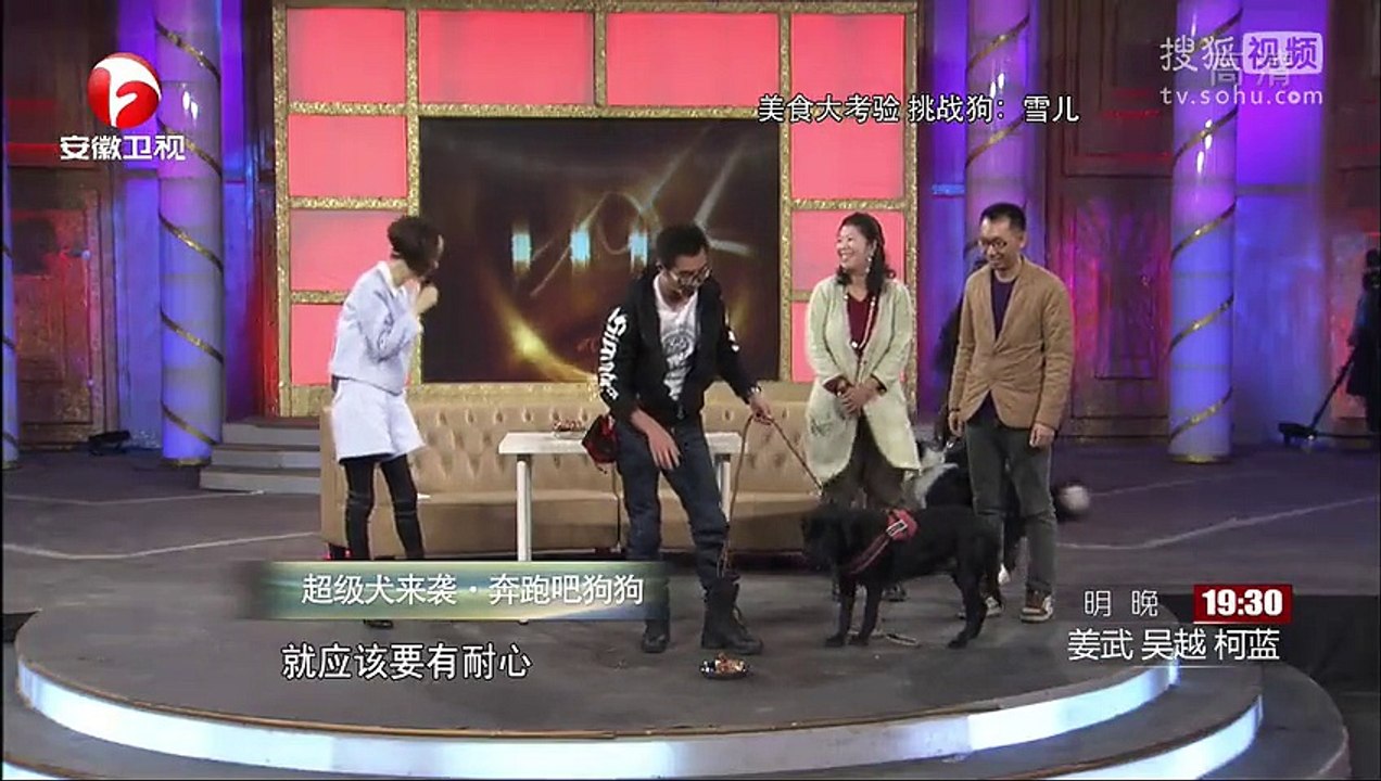 20141206 爱传万家-说出你的故事 超级犬来袭 奔跑吧狗狗