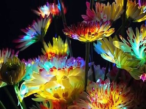 Ballade pour Adeline Richard Clayderman