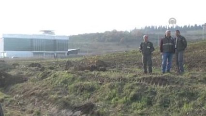 200 Çınar Fidan Toprakla Buluşturuldu