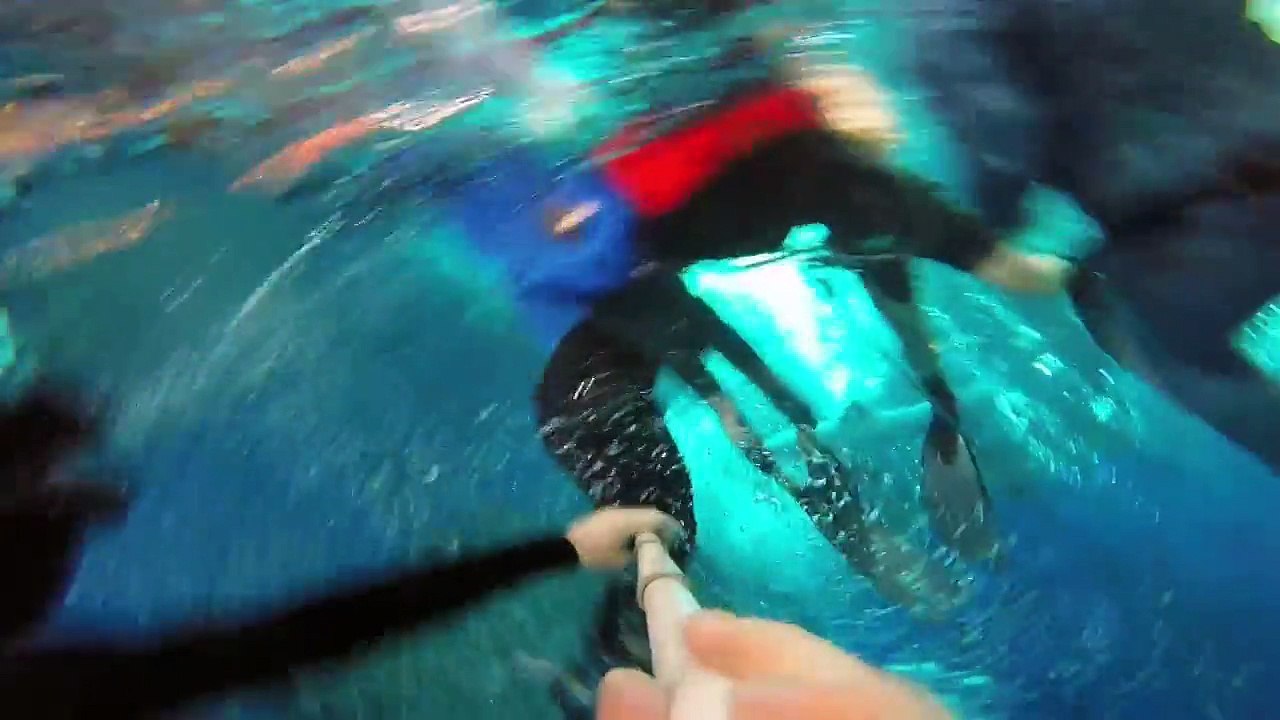 Dive4Life full