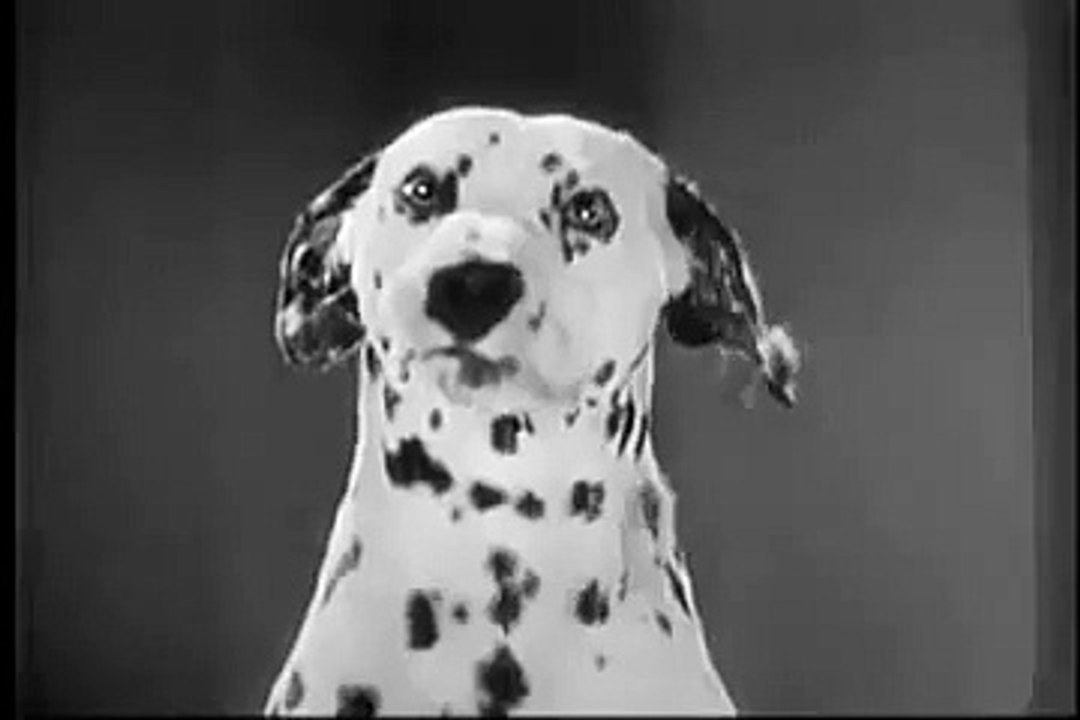 VINTAGE 1954 KEN L MEAL DOG FOOD COMMERCIAL