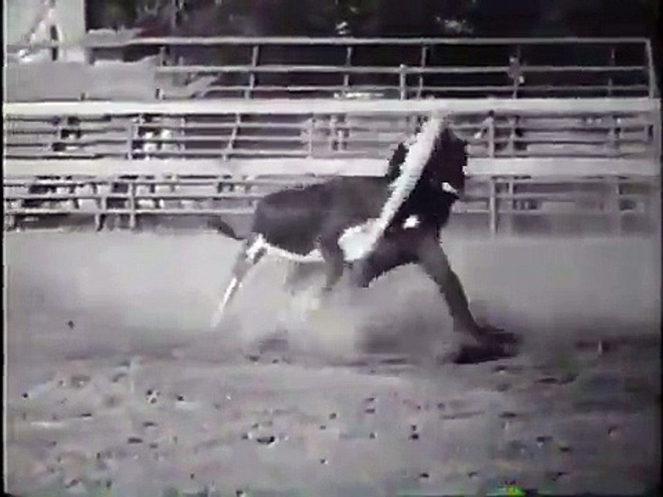 VINTAGE 1952 LONE RANGER WHEATIES COMMERCIAL ~ WITHOUT A LOGO ON THE VIDEO