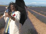 Mariage sur le plateau de Valensole