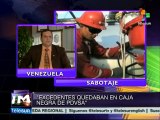 Hugo Chávez replanteó una redimensión de la OPEP: Nelson Ford