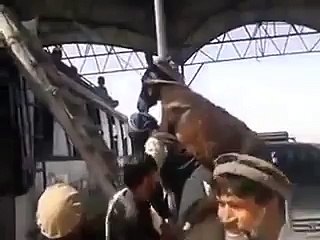 Only Pathan can do this...