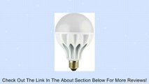 LEDwholesalers 100 watt incandescent replacement Light bulb with 16 Watt E27 Standard Screw base 100-240VAC,cool white,1028WH Review