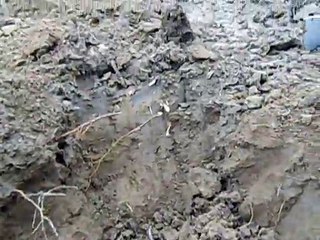 sortie detection silver movenbre 06 2014 mx5 whittes