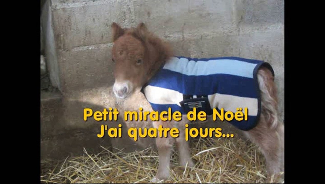 Un miracle de Noël
