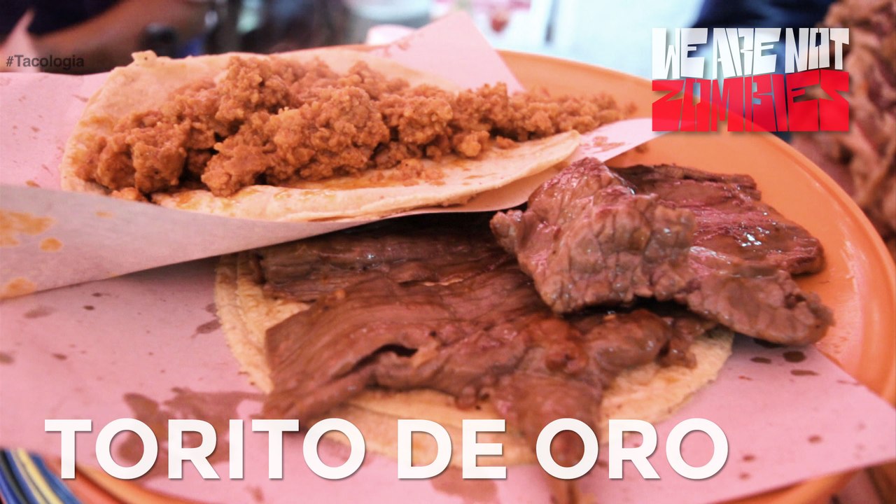 Torito de Oro | Tacología