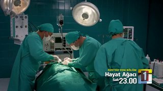 Hayat Ağacı 12.Bölüm 9 Aralık 2014 Fragmanı izle