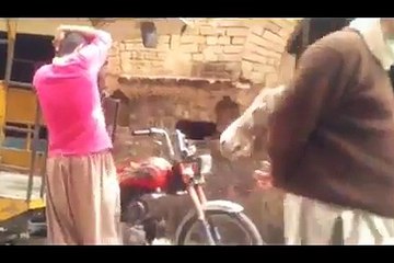 pakistan boy with donkey