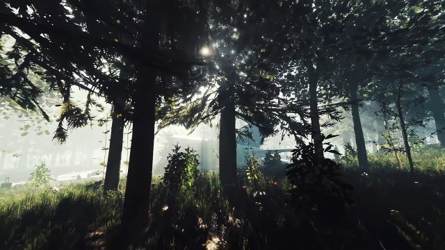 The Forest annoncé sur PS4 en vidéo (PS Experience)