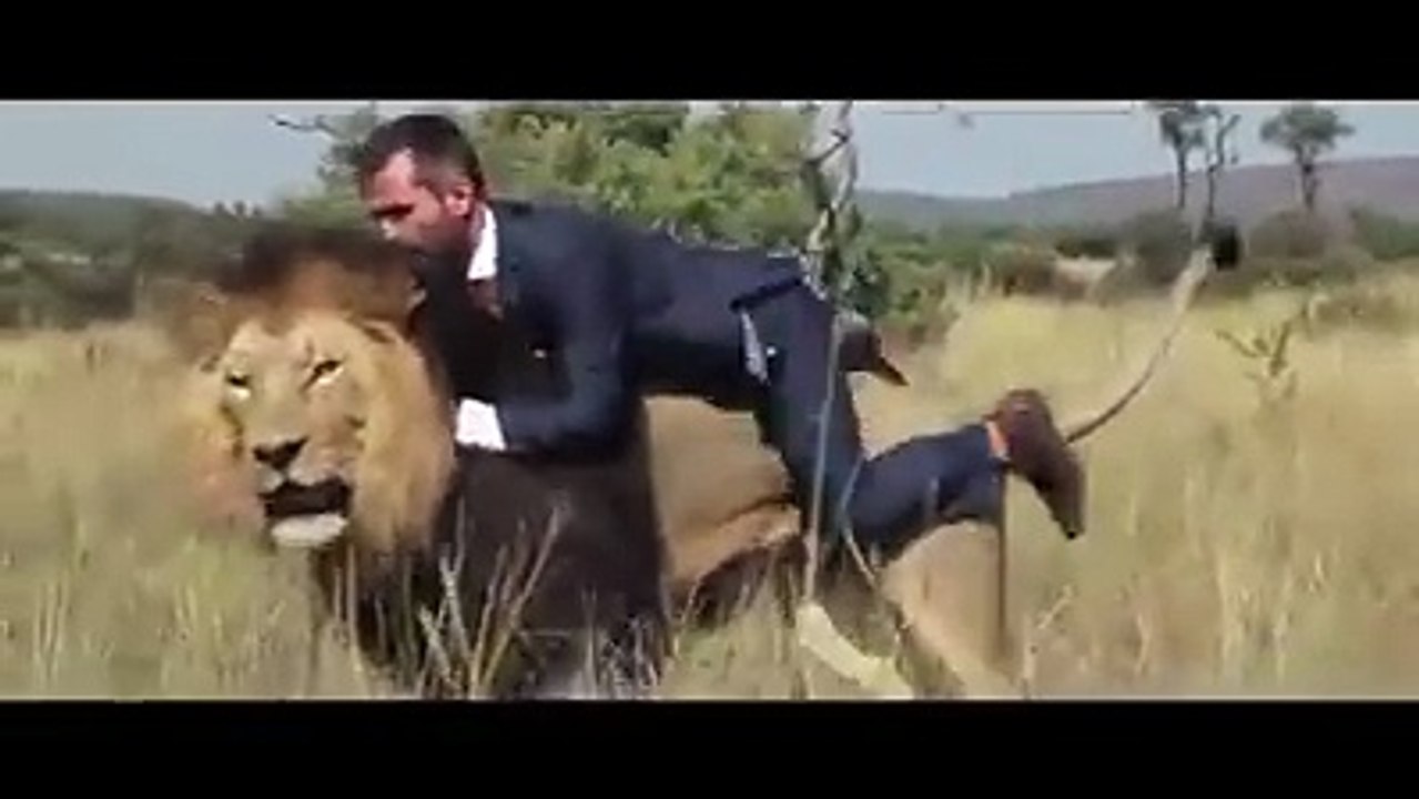 Lion and man
