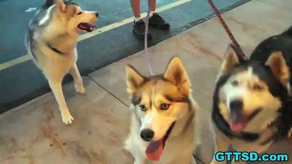 vcxv스포츠토토사이트【【 DBF808.Ｃ0Ｍ 】】배트맨토토 스포츠토토맨토토 스포츠토토