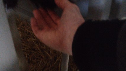 Téléthon départemental des pompiers