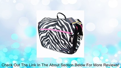 JanSport Elefunk Messenger Backpack Bag Review